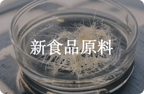 新食品原料